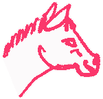 2026, year of the red horse.