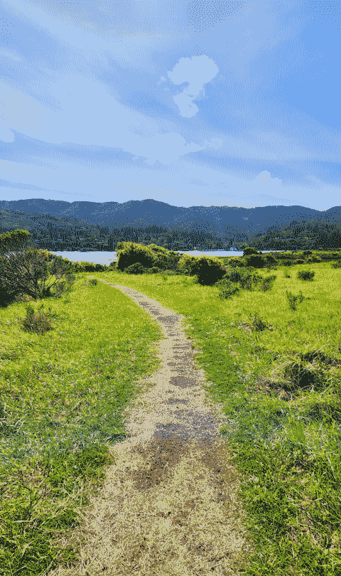 A hiking trail in an open field.